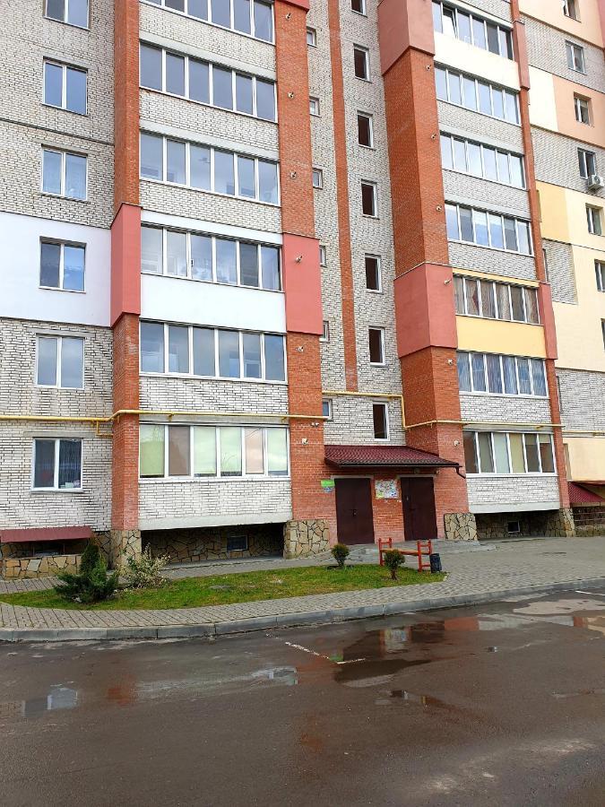 Apartment On Kravchuka, 11B Lutsʼk Exterior foto